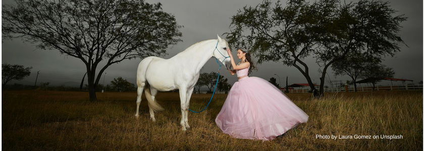 Horse and Girl