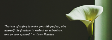 Why Trying To Be Perfect Isn T Perfect Hop To It Organizers Llc