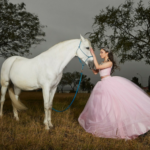 Horse and Girl