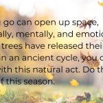 Blog-Post-November-2023